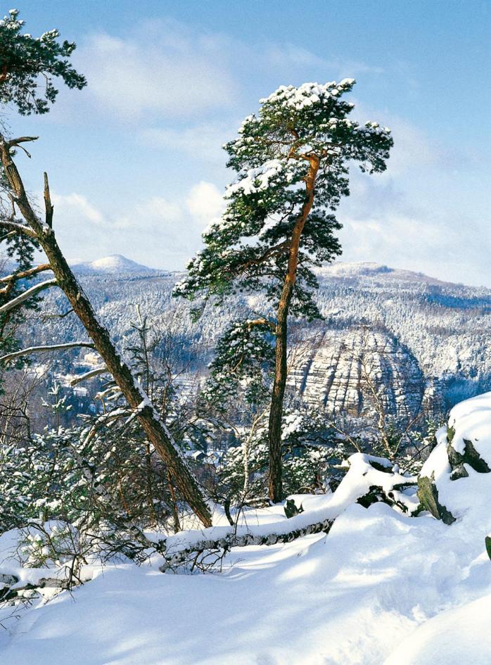 Dammschenke Gasthof & Hotel Курорт Йонсдорф Экстерьер фото